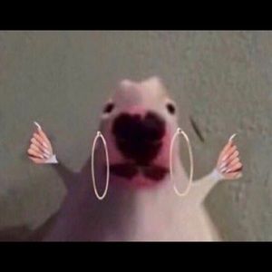 Meet your Posher, Aliesha